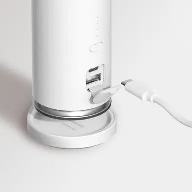 Green Lion 3-in-1 portable iron, lint remover, and power bank in a compact design" "Multifunctional Green Lion gadget featuring a portable iron, lint remover, and power bank" "Versatile 3-in-1 device by Green Lion: portable iron, lint remover, and power bank" "Travel-friendly Green Lion 3-in-1 tool combining an iron, lint remover, and power bank" "Green Lion's innovative 3-in-1 portable iron, lint remover, and power bank for on-the-go use
